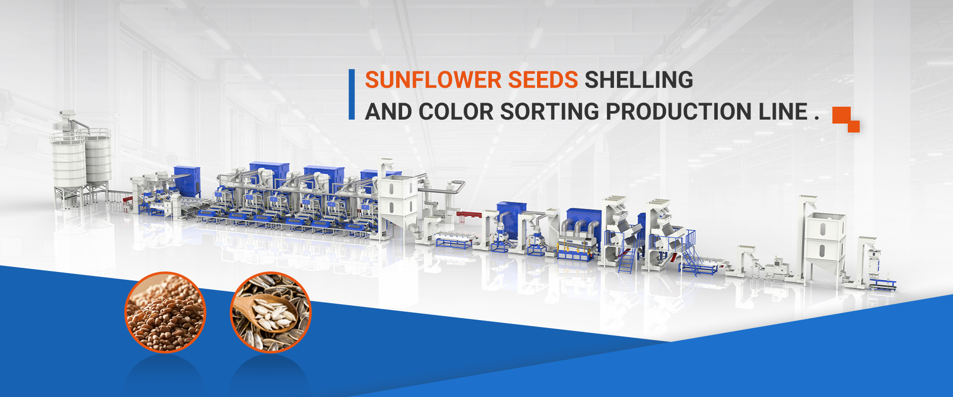 Seeds & Grain Selecting Machine