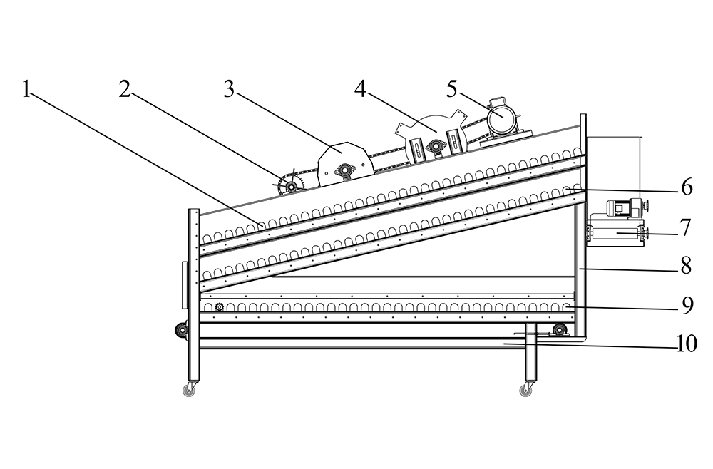 Chili Sorting Machine1 (2)ylm