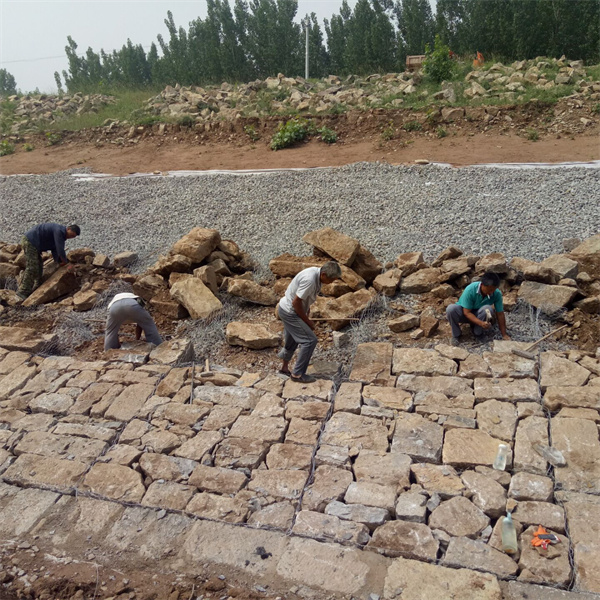 flood barrier mesh gabion &protect river bank gabion