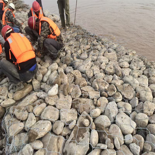 Sea Defense Cages Gabion Box Wire Mesh