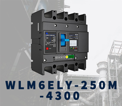 WLM6ELY-250A