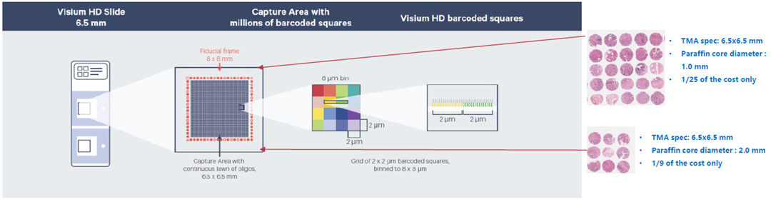 Using tissue chips for immunohistochemistry and special staining quality control (2)wba