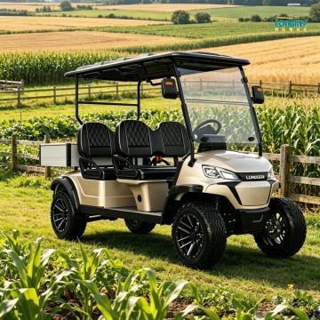 Voiturette de golf tout-terrain 4 places, garde au sol de 180 mm, pour la ferme
