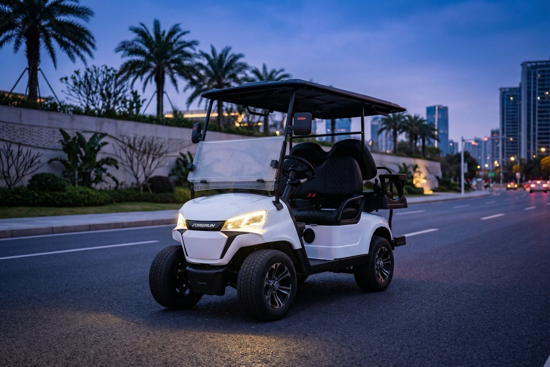 Lithium-2-Plus-2-Seater-Electric-Golf-Hunting-Buggy-for-Hotel-Shuttle (3).jpg