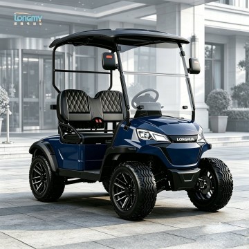 Chariot de golf et de chasse électrique 2 places avec batterie au lithium, vente directe d'usine
