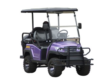 4 Seaters Electric Beach Buggy with CE Certification