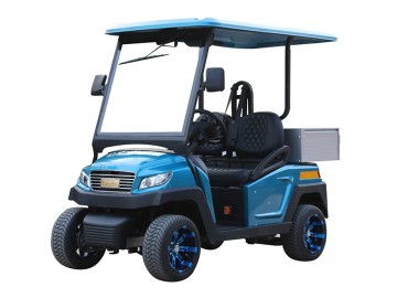 2 Passengers Hotel Buggy Electric Car with Storage Box