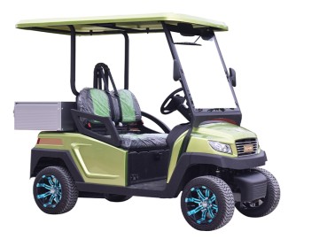 2 Seaters Electric Golf Cart with Storage Box