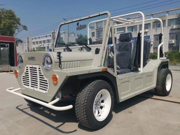 New Energy Electric Moke Mini Car with CE Certificate