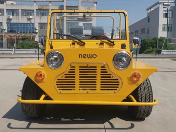 Classic Off Road Tire Mini Moke Buggies