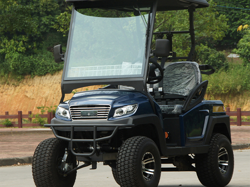 Voiturette de golf électrique bleue 2 places à vendre