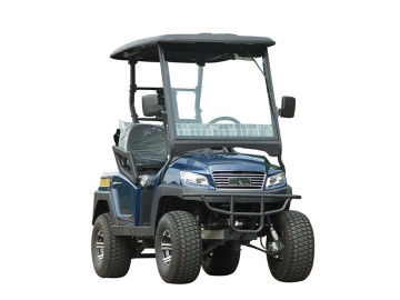 Blue 2 Seaters Electric Golf Buggy for Sale