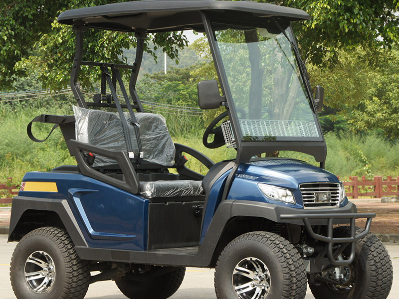 Voiturette de golf électrique bleue 2 places à vendre