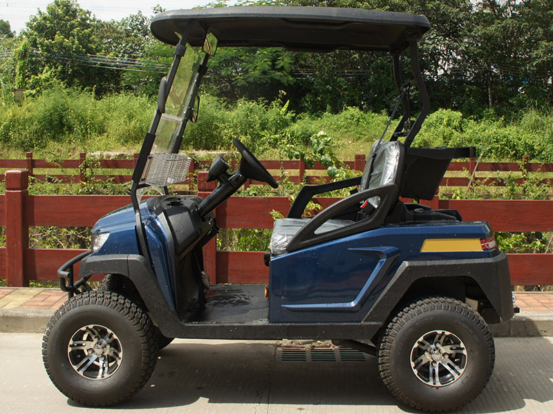 Voiturette de golf électrique bleue 2 places à vendre