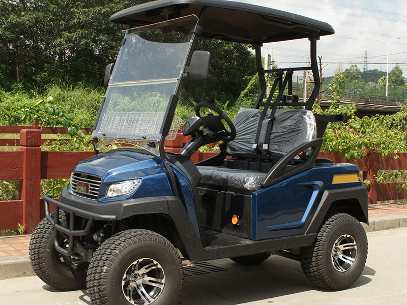 Voiturette de golf électrique bleue 2 places à vendre