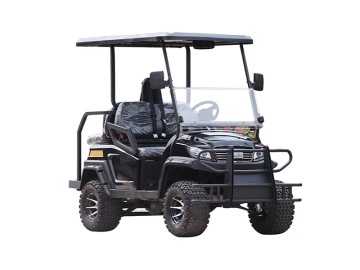 Electric Buggy Golf Cart With PC Windshield
