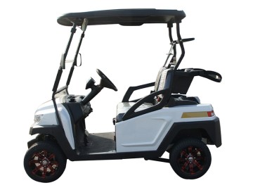 Mini 2 Seats Aluminum Wheel Electric Golf Cart