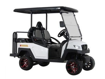 Street Legal Electric Golf Carts
