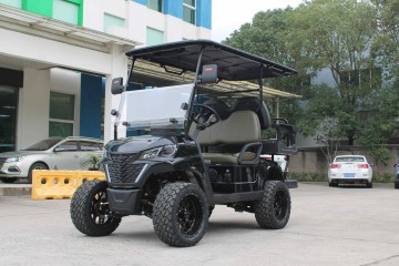 Four Person Golf Cart
