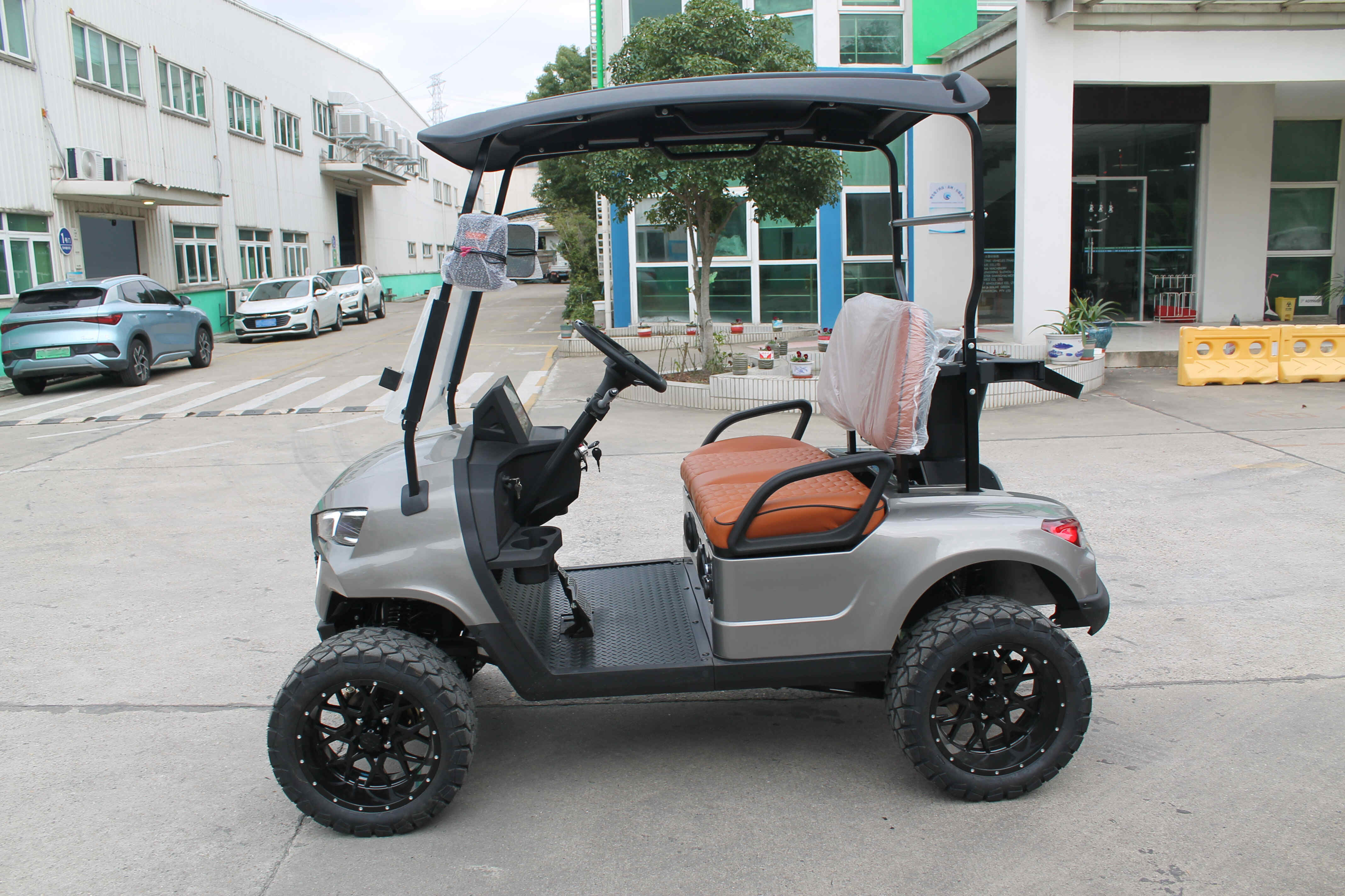 Carrito de golf eléctrico de 2 plazas - producto