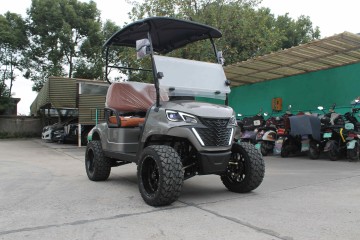 2 Seater Electric Golf Cart