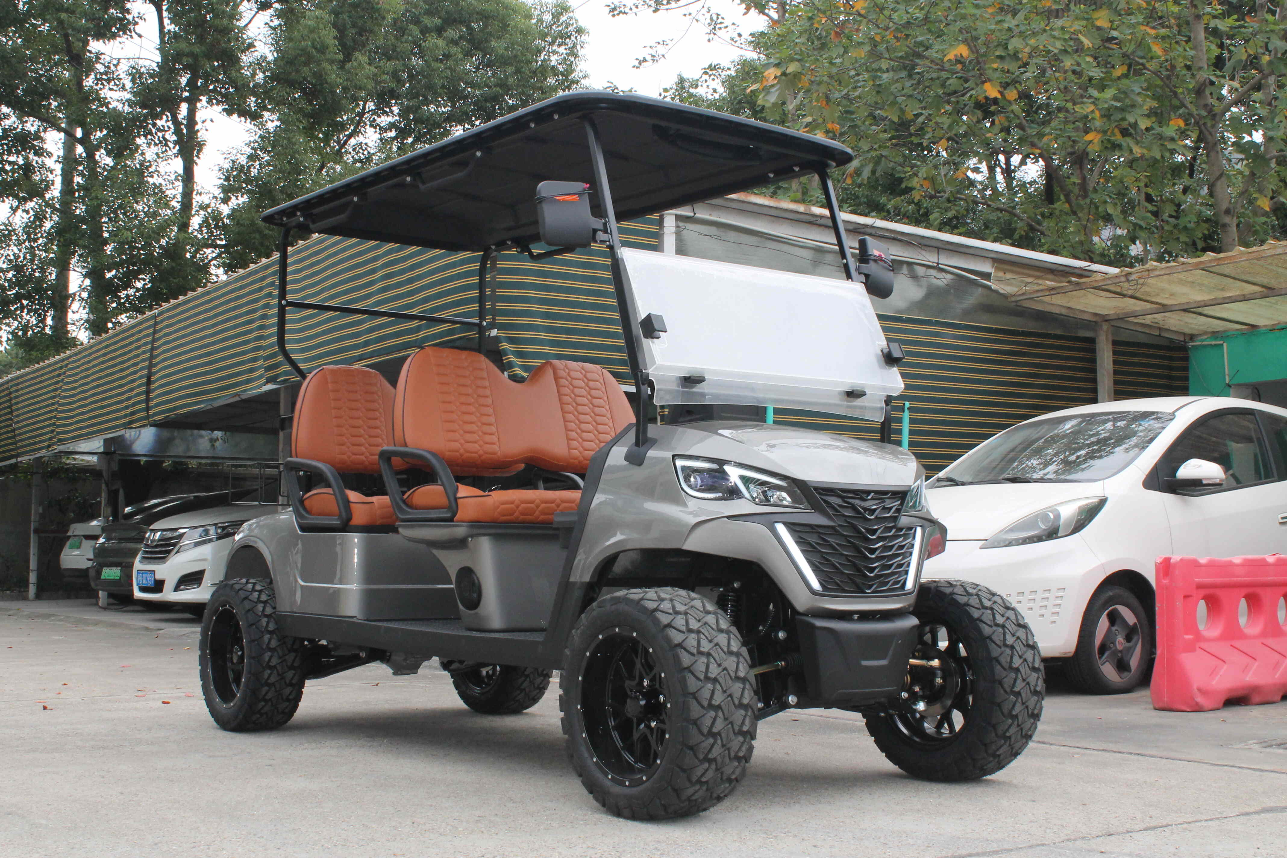 Carrito de golf eléctrico de 4 plazas - producto