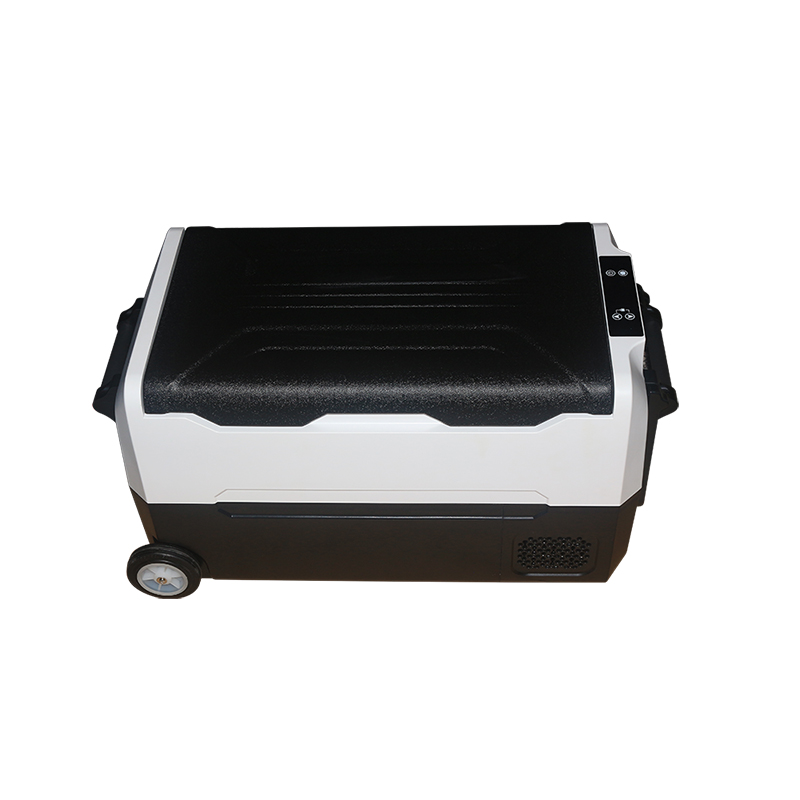 Portable Car Fridge Freezer DC (2)