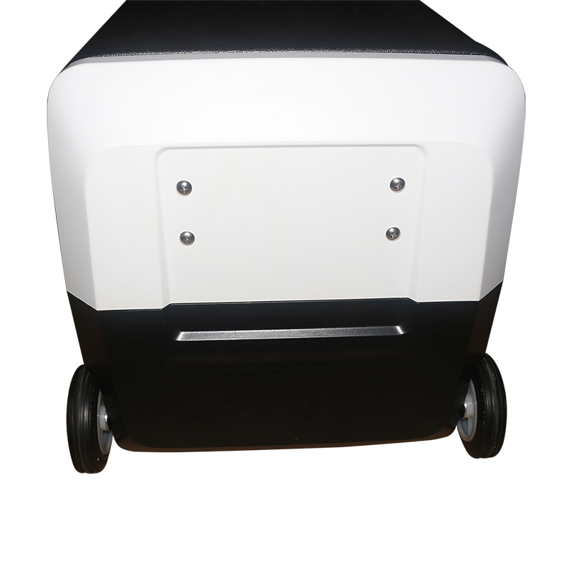 Portable Car Fridge Freezer DC (6)
