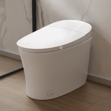 Smart Toilet with Bidet, Power Flush, Comfort Height, ADA Compliant N111-1B