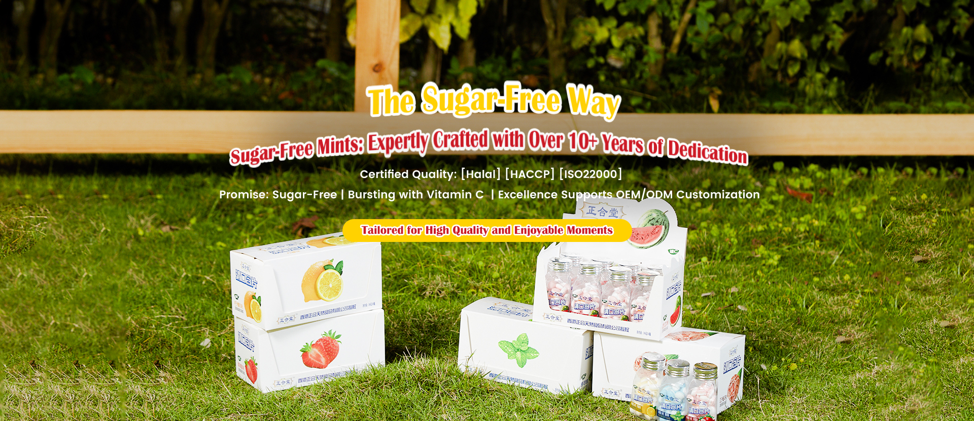Sugar-Free Mints