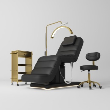 1121 Spa-Massage bed/Beauty bed-1