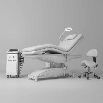 0112 Electric Treatment Bed (Massage Bed/Beauty Beds)