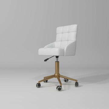 Rotating And Movable Salon Beauty Stool（Cosmetic Stool）