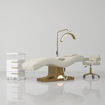 0313 Electrically Adjustable Eyelash Beauty Bed