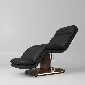 0701 Electric Beauty Makeup Bed/Massage Bed