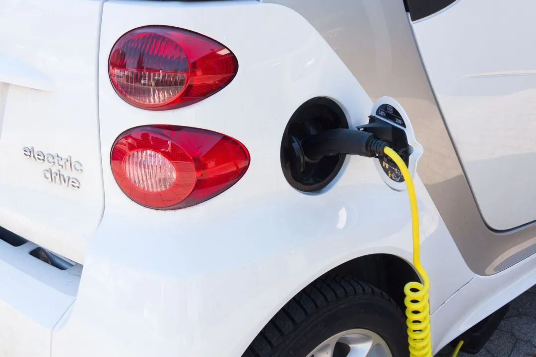Self-driving new energy Spring Festival status