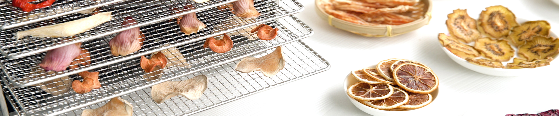 Food Dehydrator