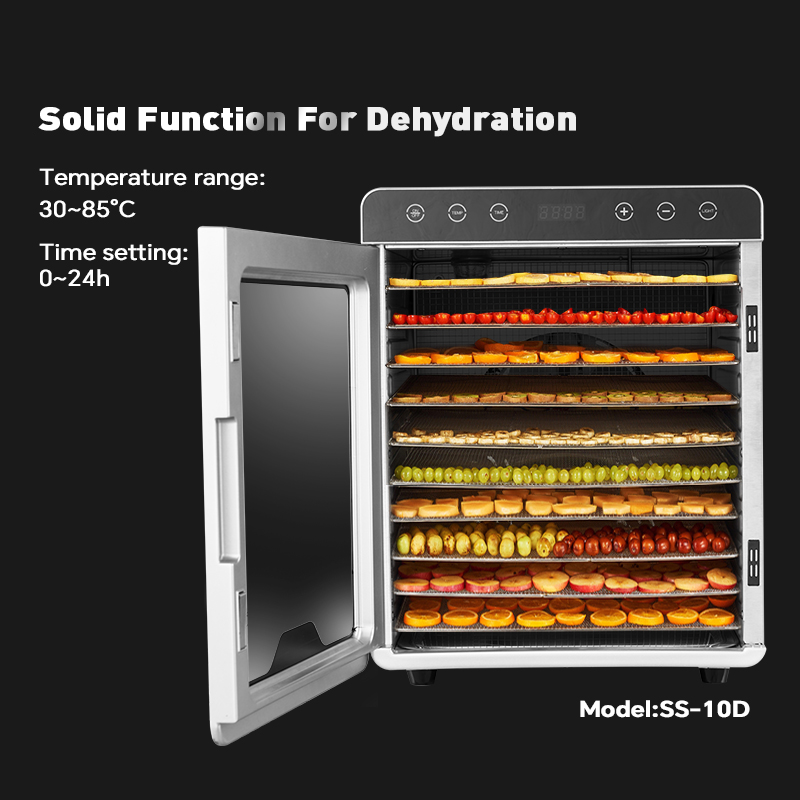 SS-10D_07mc