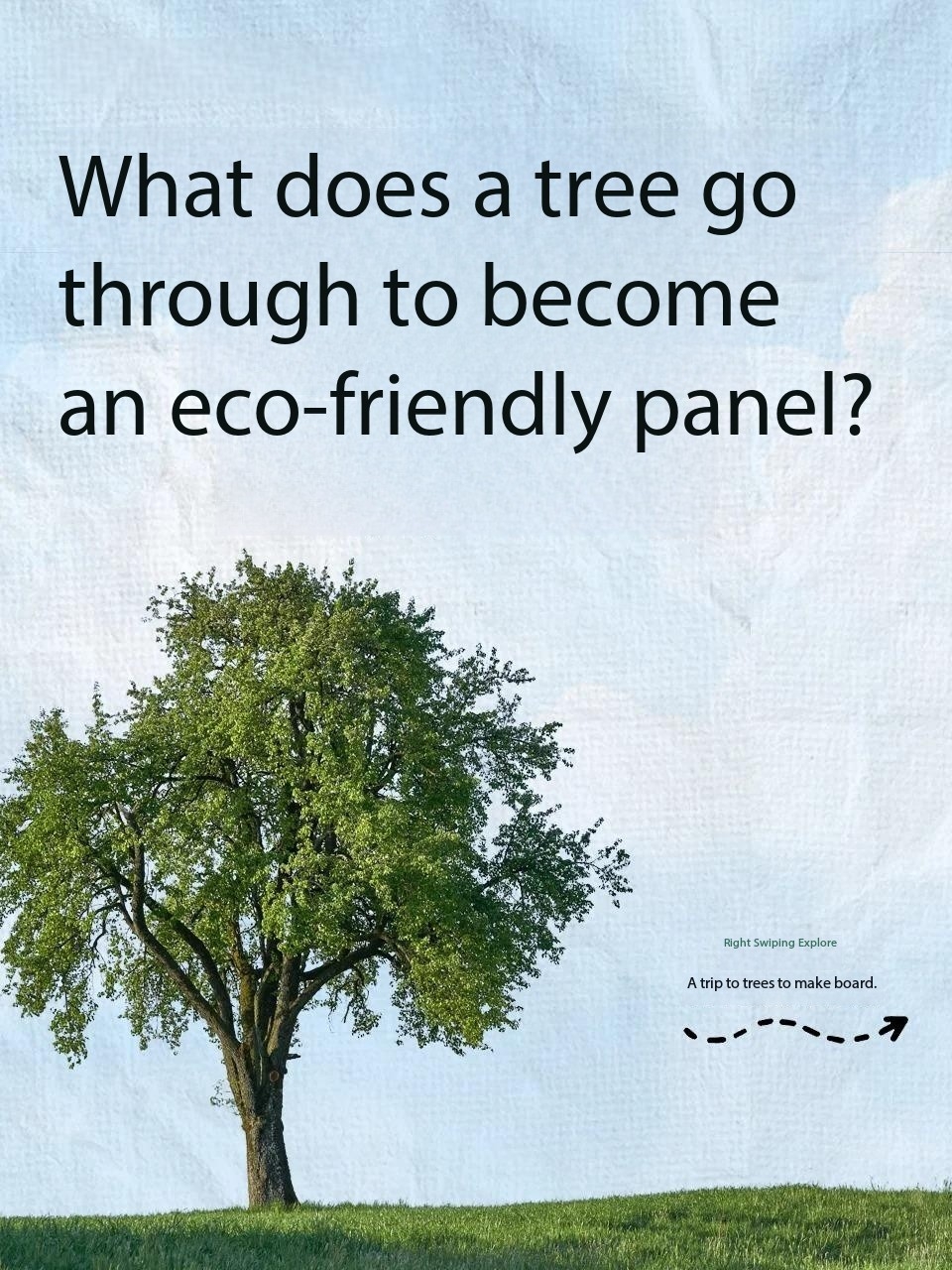 What does a tree go through to become a board?