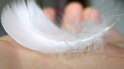 custom blog 61 (26).png