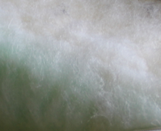 custom blog 61 (45).png