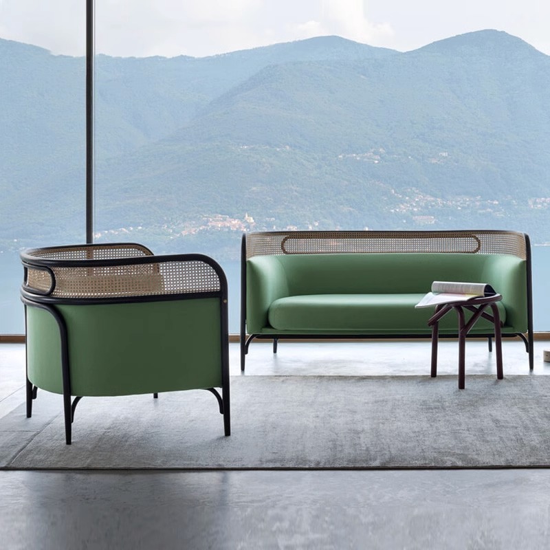 rattan living room sofa set F108