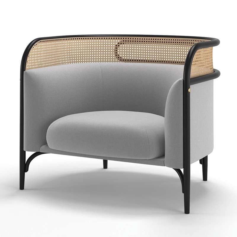 rattan living room sofa set F108