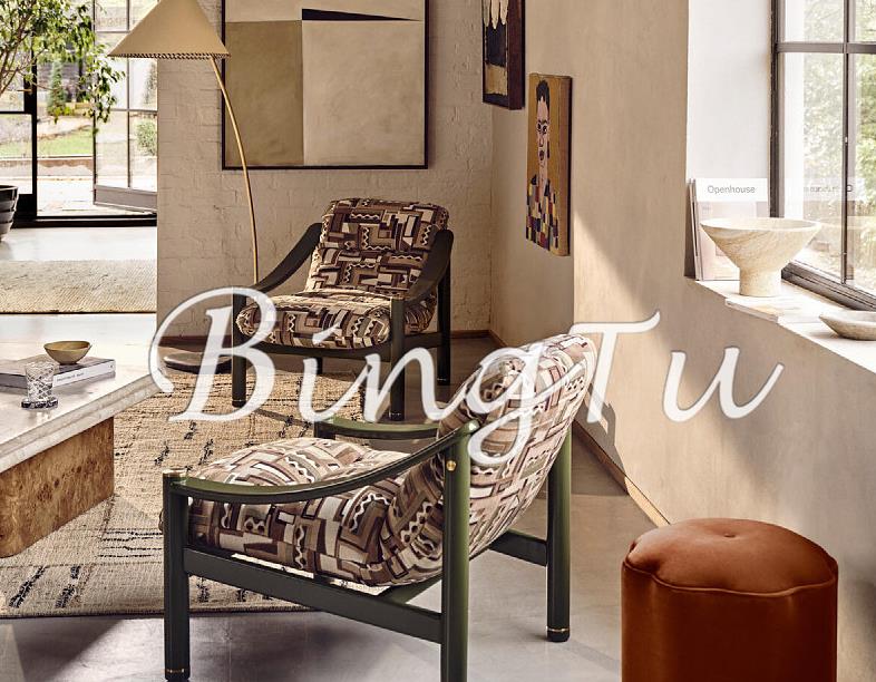 Creative leisure chair for living room F273
