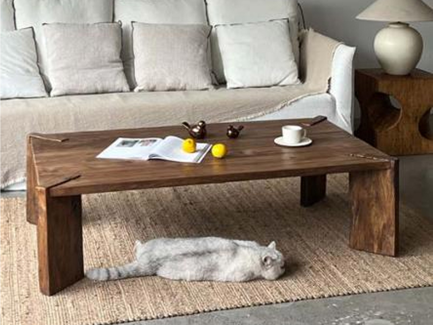 Coffee table in the living room of the model apartment Q-319
