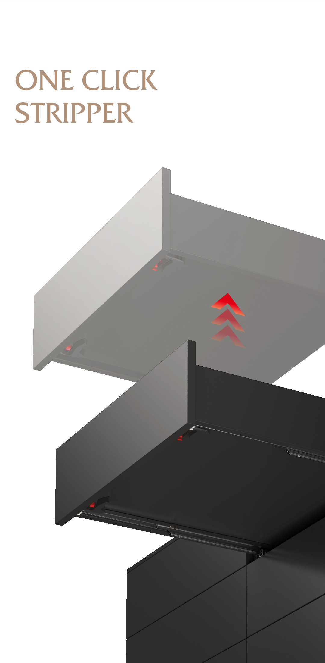 Putanga Ingarihi_08.jpg