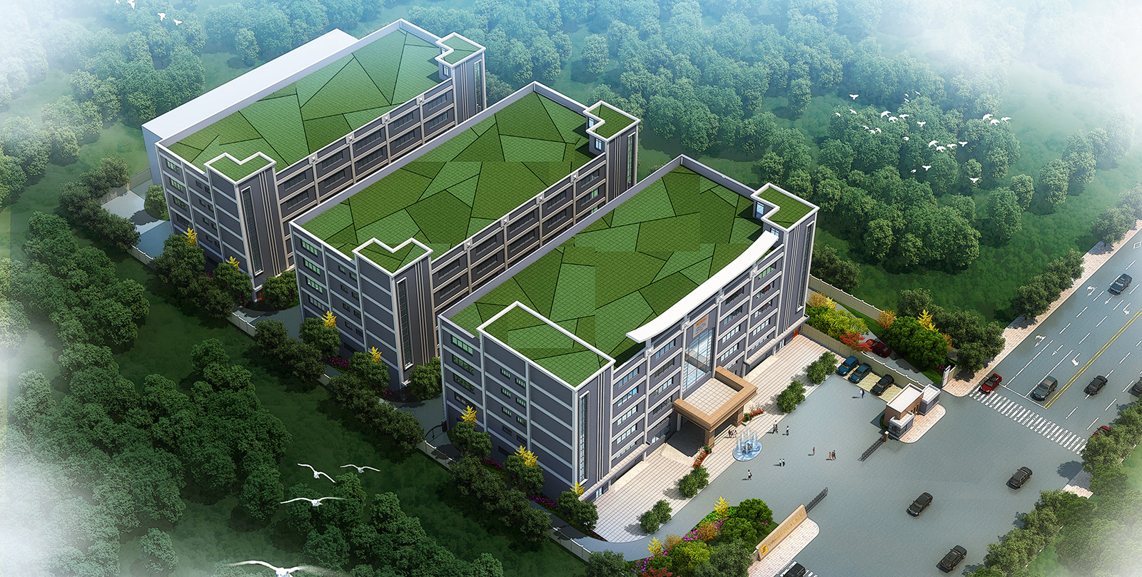 XINSHIDAuqy