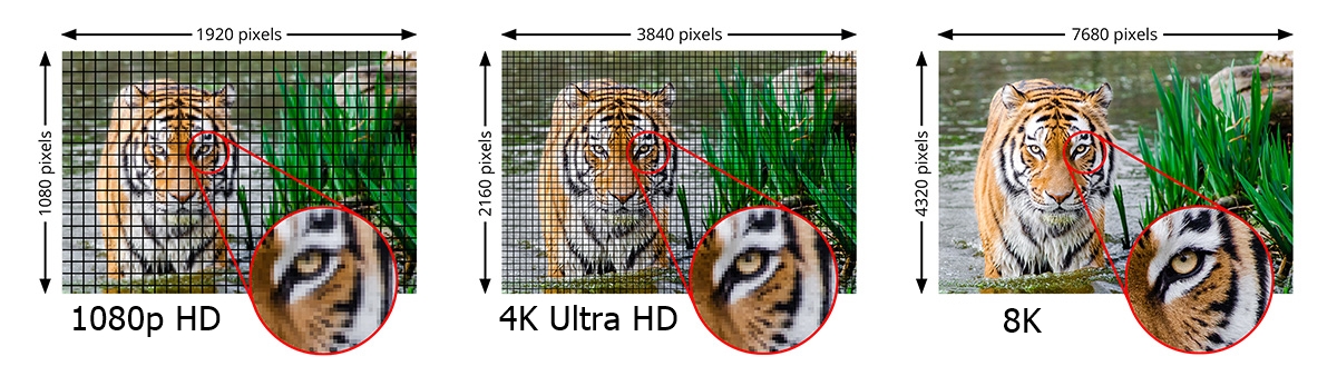Learn about HDMI 2.1 and enjoy the unparalleled 8K experience