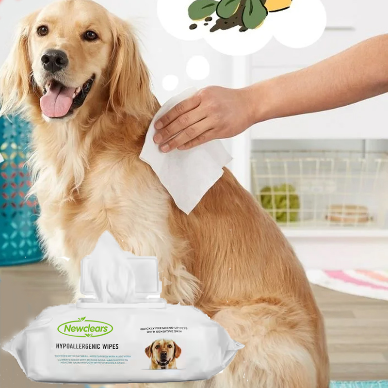 10002.jpg