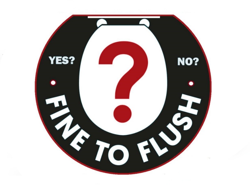 China-Introduces-Flushability-Standard.jpg